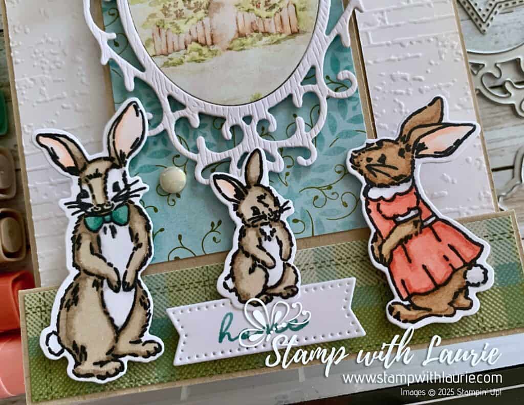 Close Up of Bunnies